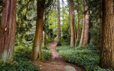Preserving a Treasured Place for Generations to Come
