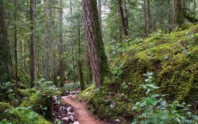 10 Favourite Trails on the Sunshine Coast