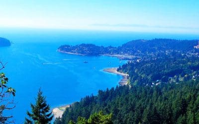 Autumn Adventures: 5 Enchanting Trails to Explore on the Sunshine Coast
