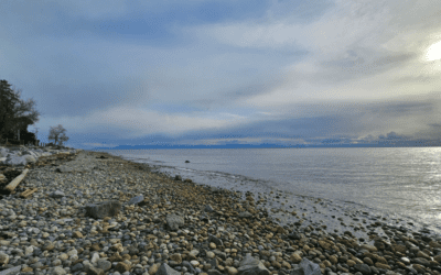 Favourite Spots to Unwind on the Coast